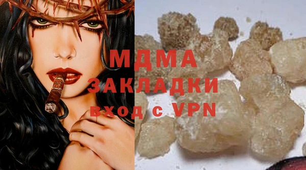 прущие грибы Белокуриха