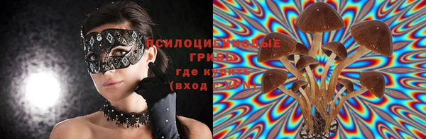 прущие грибы Белокуриха