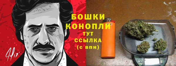 спиды Лиски